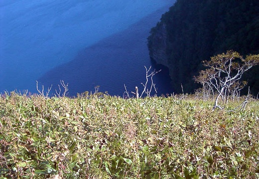 199909131457-PDRM0055.jpg