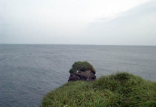 199909150835-PDRM0142.jpg