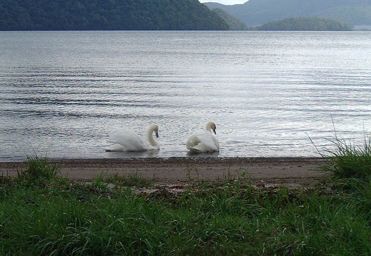199909251423-DSCF0022.jpg
