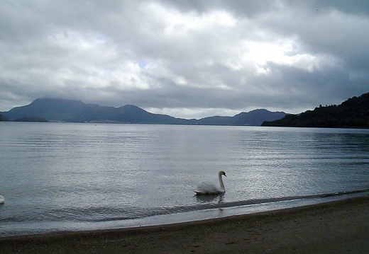 199909251424-DSCF0024.jpg