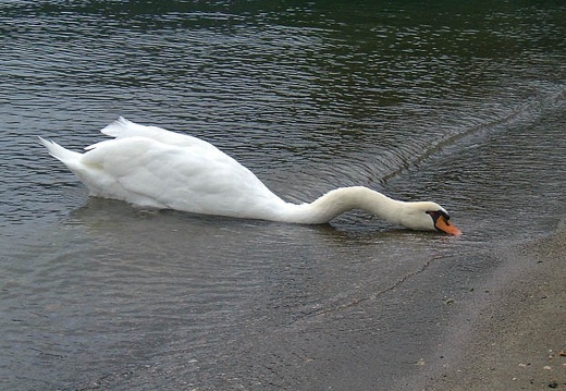 199909251424-DSCF0026.jpg