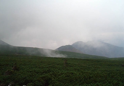 199910011442-Dscf0244.jpg