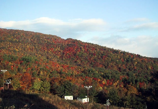 200010220655-IMG_0230.jpg
