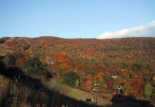 200010220655-IMG_0231.jpg