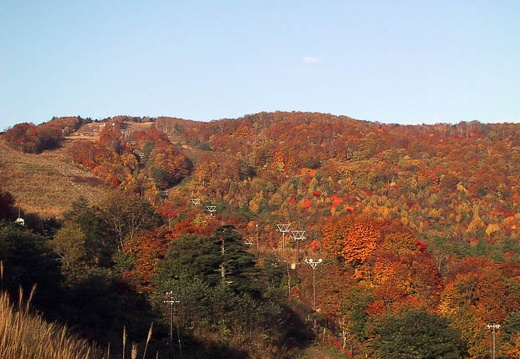 200010220655-IMG_0232.jpg