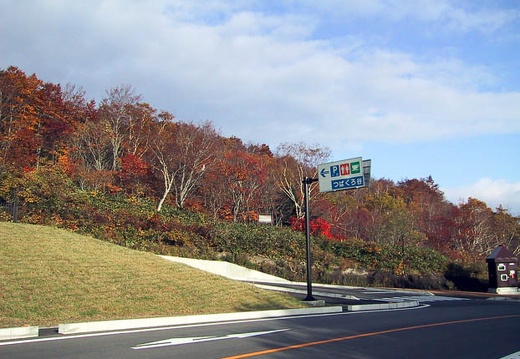 200010220711-IMG_0241.jpg