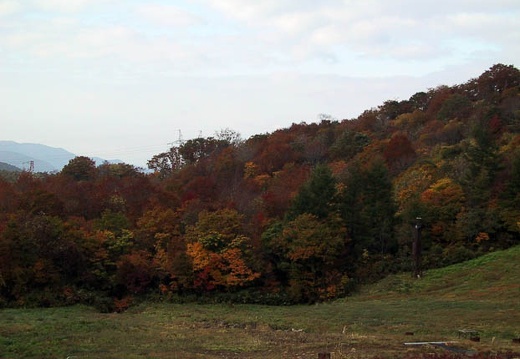 200010220816-IMG_0268.jpg
