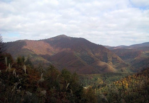 200010220855-IMG_0273.jpg