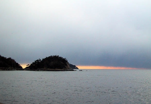 200102251603-IMG_0572.jpg