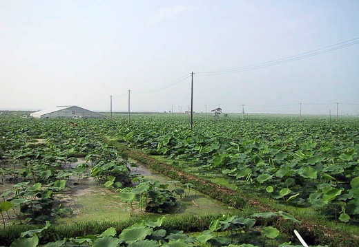 200107010810-IMG_1002.jpg