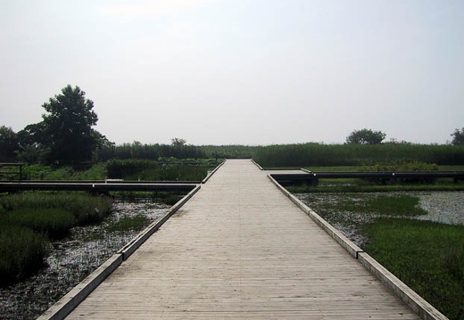 200107010835-IMG_1006.jpg