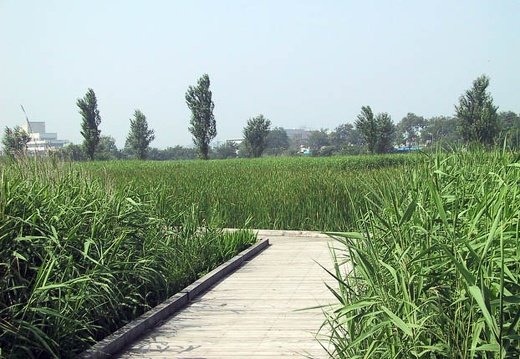 200107010836-IMG_1008.jpg
