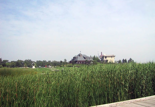 200107010837-IMG_1009.jpg
