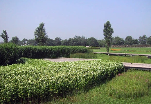 200107010838-IMG_1011.jpg