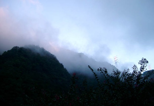 200210100621-IMGP0772.jpg