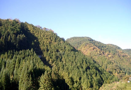 200210100825-IMGP0783.jpg