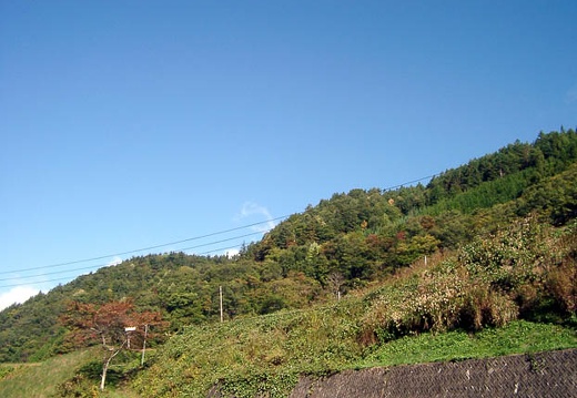 200210100826-IMGP0788.jpg