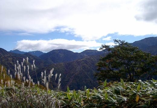 200210100849-IMGP0793.jpg