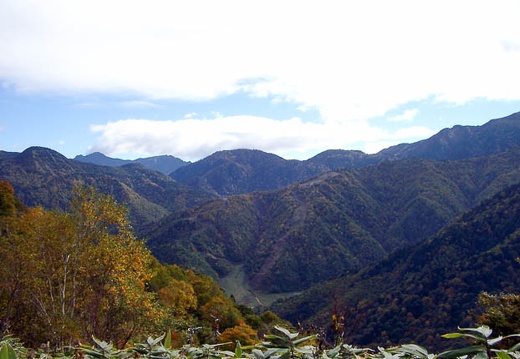 200210100849-IMGP0794.jpg
