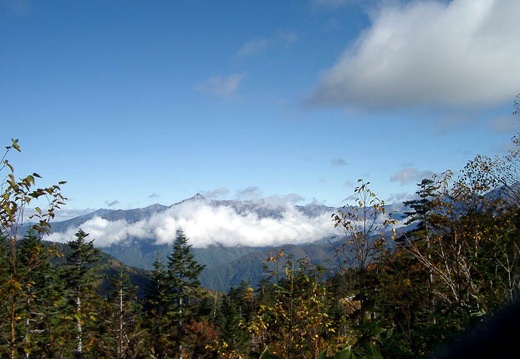 200210100917-IMGP0812.jpg