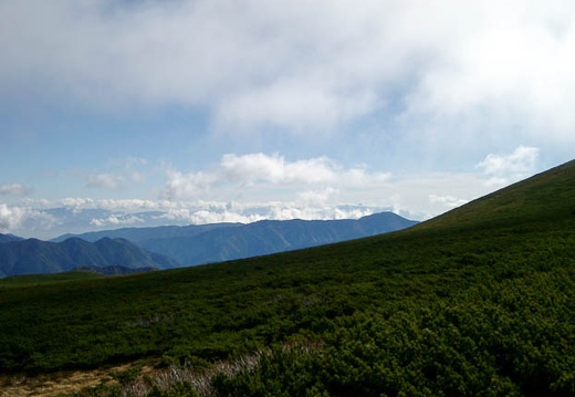 200210100932-IMGP0820.jpg
