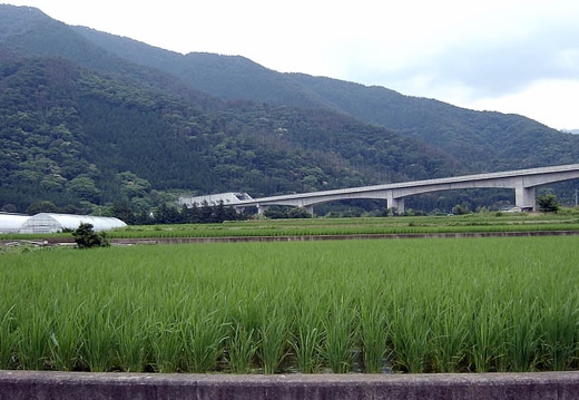 200306291640-SANY0019.jpg