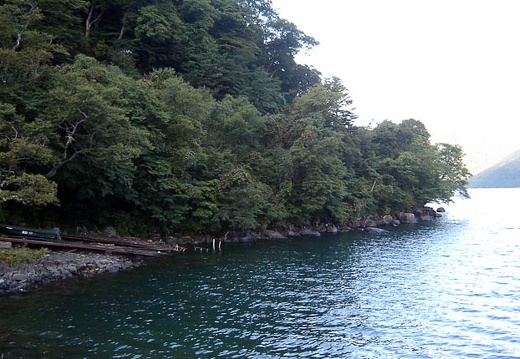 200309150614-SANY0091.jpg