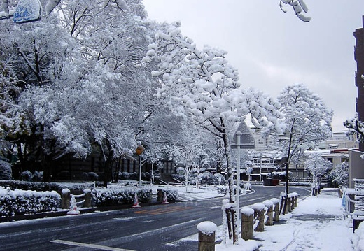 200312200727-SANY0003.jpg