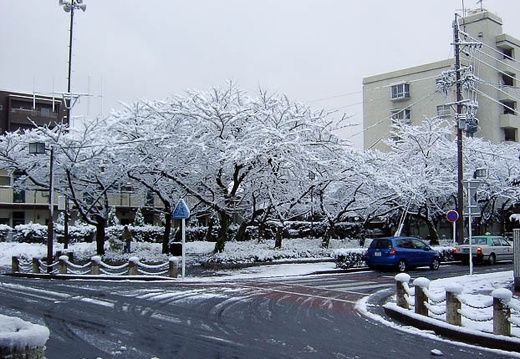 200312200732-SANY0014.jpg
