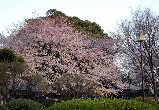 200404030546-SANY0044.jpg