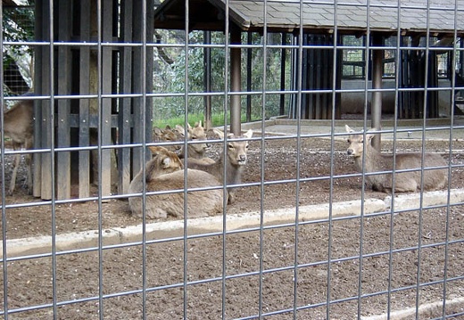 200404030551-SANY0051.jpg