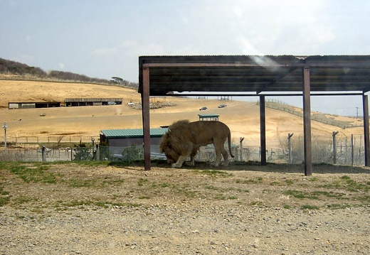 200504171100-SANY0030.jpg