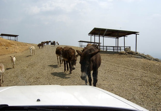 200504171117-SANY0062.jpg