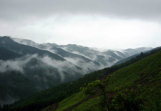 200607020742-SANY0099.jpg