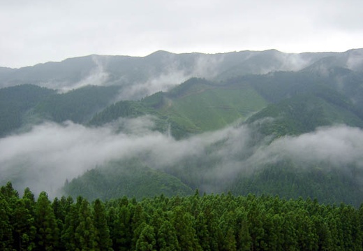 200607020742-SANY0100.jpg