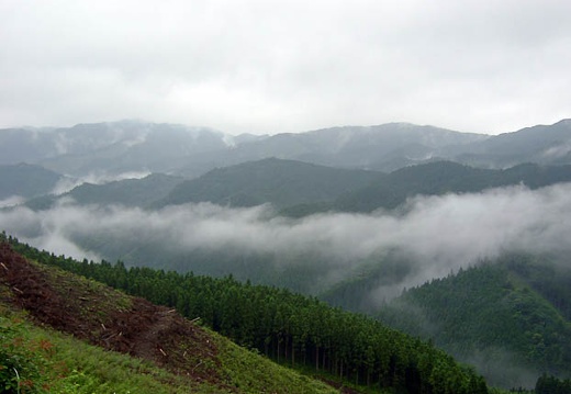 200607020744-SANY0109.jpg