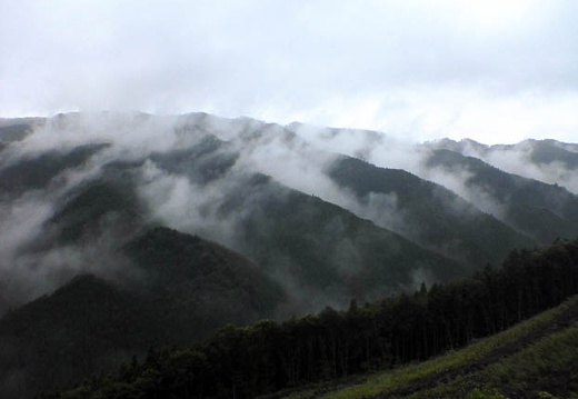 200607020747-DSC00158.jpg