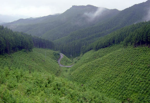 200607020808-SANY0115.jpg