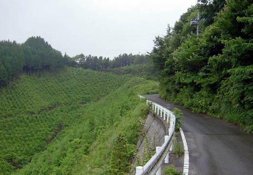 200607020808-SANY0117.jpg