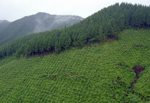 200607020808-SANY0118.jpg