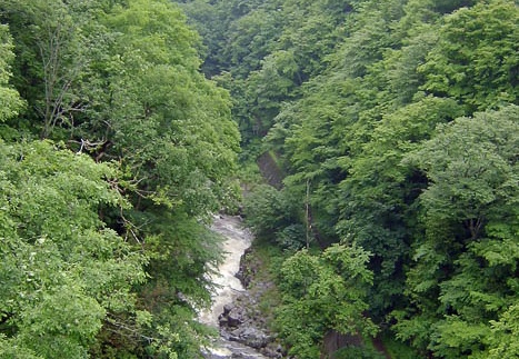 200607021138-SANY0128.jpg