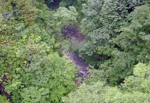 200607021138-SANY0129.jpg