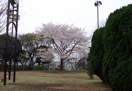 200703310625-DSCF0356.jpg