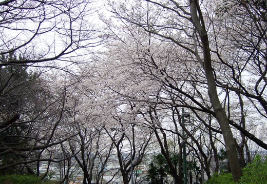 200703310628-DSCF0366.jpg