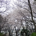 200703310628-DSCF0366.jpg