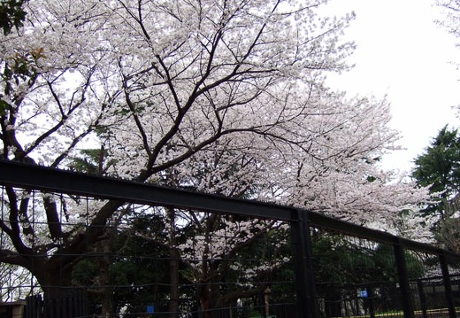 200703310631-DSCF0370.jpg