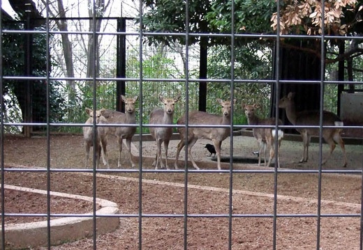 200703310633-DSCF0374.jpg