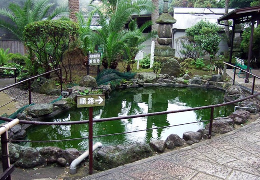 200706240804-DSCF0952.jpg