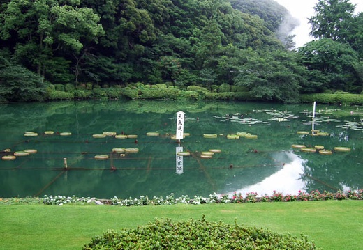200706240903-DSCF1190.jpg