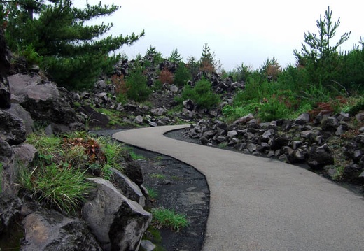 200706251130-DSCF1706.jpg